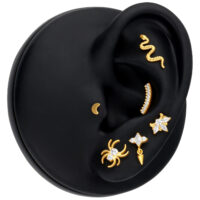 Embout Serpent Push Fit Doré pour Piercings Embout serpent doré en titane sur un modèle d'oreille noir
