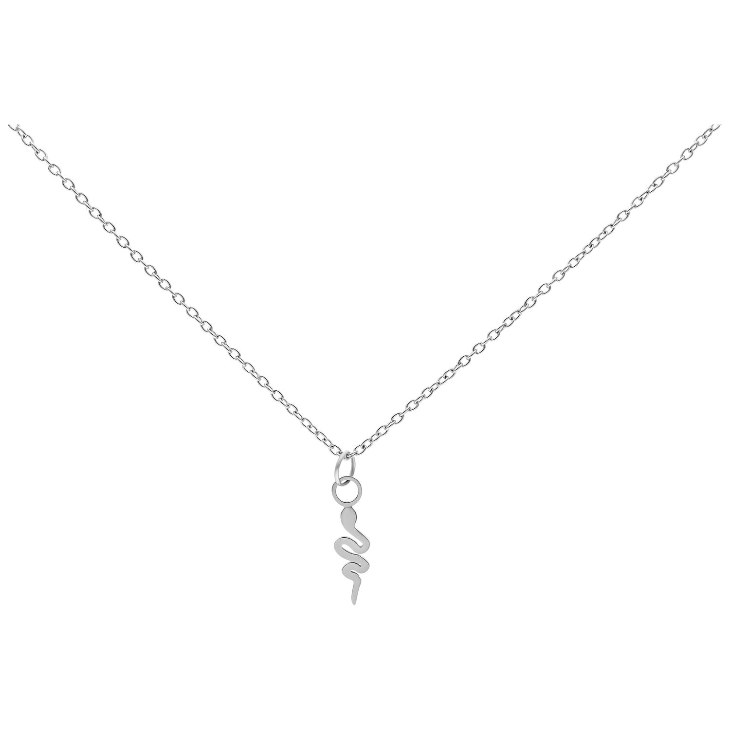 Collier Little Snake en acier chirurgical argenté Collier argenté avec pendentif serpent sur fond blanc