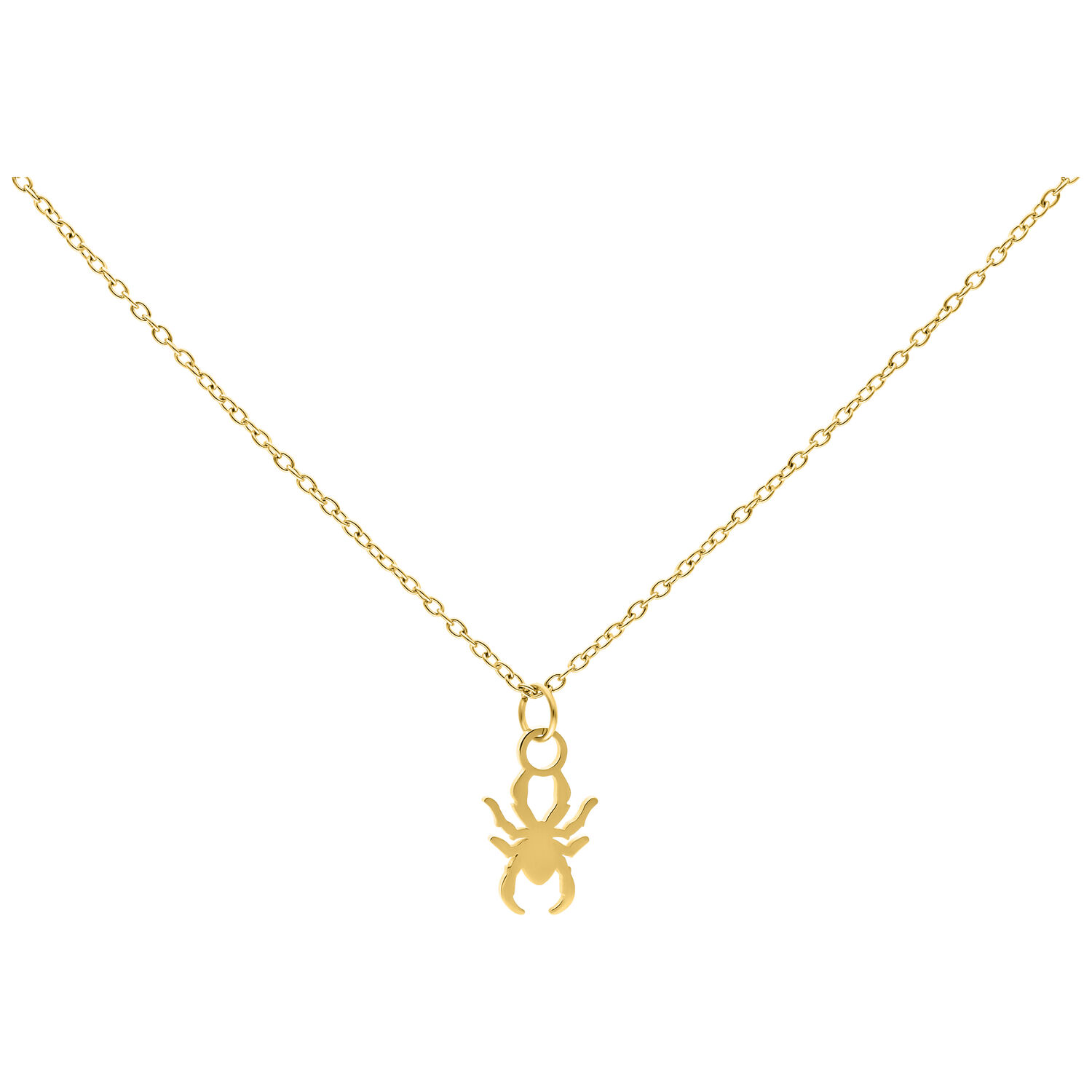Chaîne Little Spider dorée en acier chirurgical Chaîne dorée avec petit pendentif araignée sur fond blanc