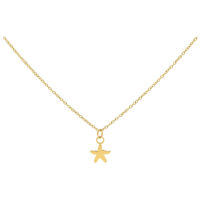 Little Starfish collier en or, 50 cm Collier doré avec petit pendentif étoile de mer, fond de studio