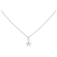 Collier Little Starfish argenté en acier Collier argenté avec petit pendentif étoile de mer sur fond blanc