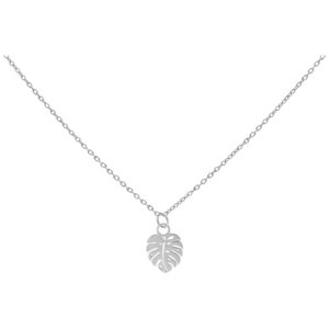 Collier en argent avec pendentif feuille de Monstera sur fond blanc