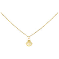 Little Shell collier en or, 50 cm Collier en or avec pendentif coquillage sur fond blanc