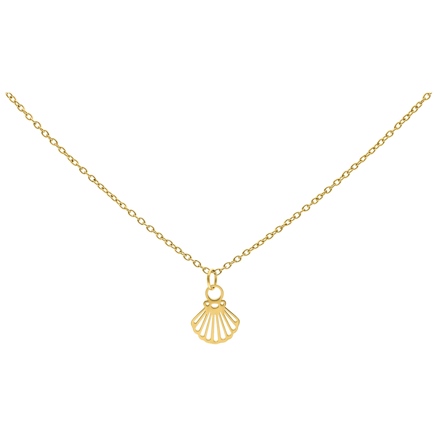 Little Shell collier en or, 50 cm Collier en or avec pendentif coquillage sur fond blanc