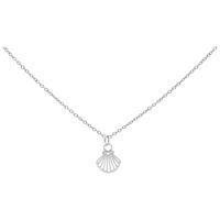 Chaîne en argent avec pendentif coquillage, 50 cm Fine chaîne en argent avec petit pendentif coquillage sur fond blanc