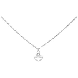 Fine chaîne en argent avec petit pendentif coquillage sur fond blanc