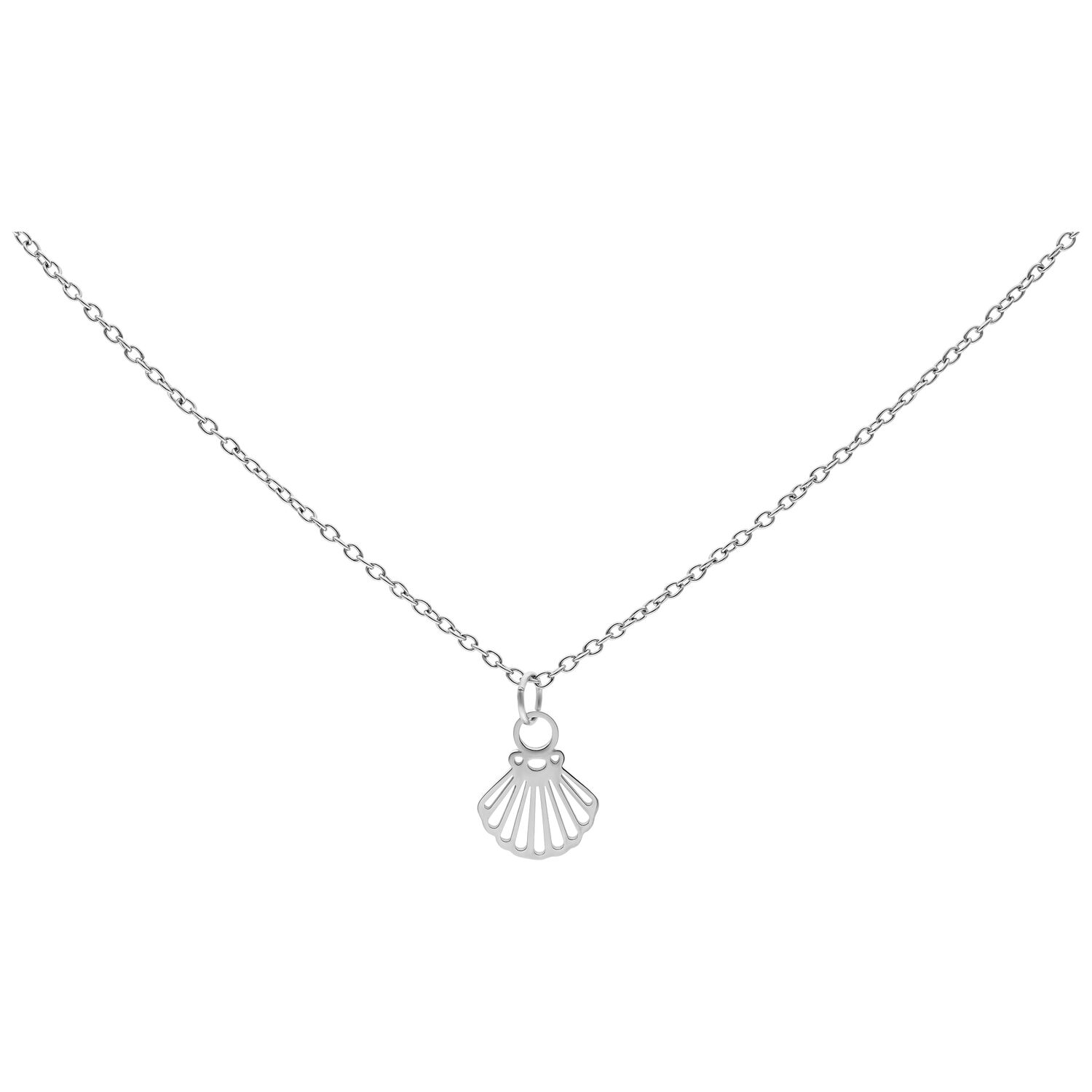 Chaîne en argent avec pendentif coquillage, 50 cm Fine chaîne en argent avec petit pendentif coquillage sur fond blanc