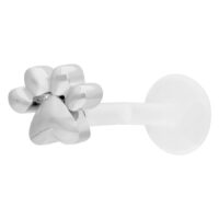 Piercing Labret Little Paw argenté Labret argenté avec motif de patte sur fond blanc