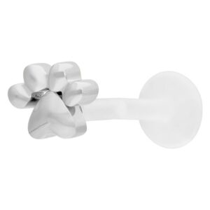 Labret argenté avec motif de patte sur fond blanc
