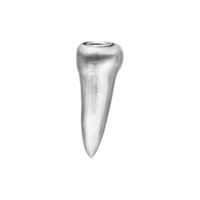 Embout de piercing bio-mécanique argenté Embout de piercing argenté, conique avec surface lisse sur fond blanc