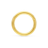 Anneau à Charnière Élégant en Or 18K pour Piercings Anneau en or 18K brillant avec charnière sur fond blanc