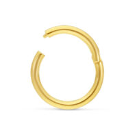 Anneau à charnière en or 18K pour piercings Anneau à charnière en or 18K sur fond blanc, parfait pour piercings
