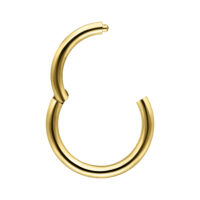 Anneau à Charnière en Or 14K - 1,2 mm, 8,0 mm Anneau de piercing en or 14K avec charnière, épaisseur 1,2 mm, diamètre 8 mm