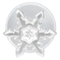 Labret Push-Fit Flocon de Neige Argenté Labret flocon de neige argenté en métal sur fond blanc