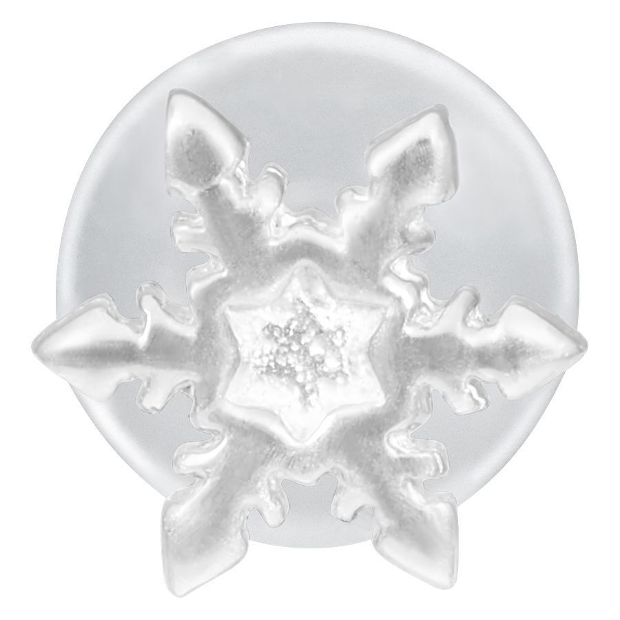 Labret Push-Fit Flocon de Neige Argenté Labret flocon de neige argenté en métal sur fond blanc
