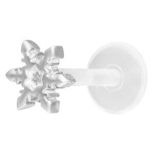 Labret flocon de neige argenté avec Push-Fit sur fond blanc