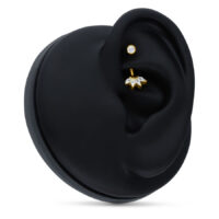 Microbananabell en or 18K avec cristal Lily Microbananabell doré avec cristal Lily sur modèle d'oreille noir