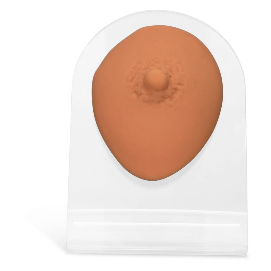 Mamelon en silicone beige sur présentoir transparent, unisexe
