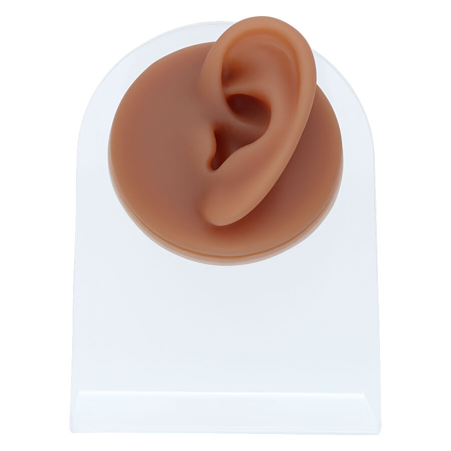 Wildcat Body Bit Ear en silicone marron Oreille en silicone marron sur support d'affichage transparent, vue de face