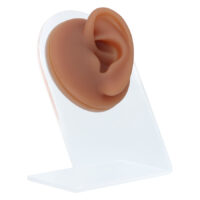 Présentoir d'oreille en silicone marron sur support Oreille en silicone marron sur support transparent, prise de vue en studio