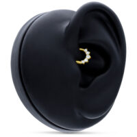 Clicker en or 18K avec cristaux Anneau de piercing en or 18K avec cristaux clairs sur modèle d'oreille noire