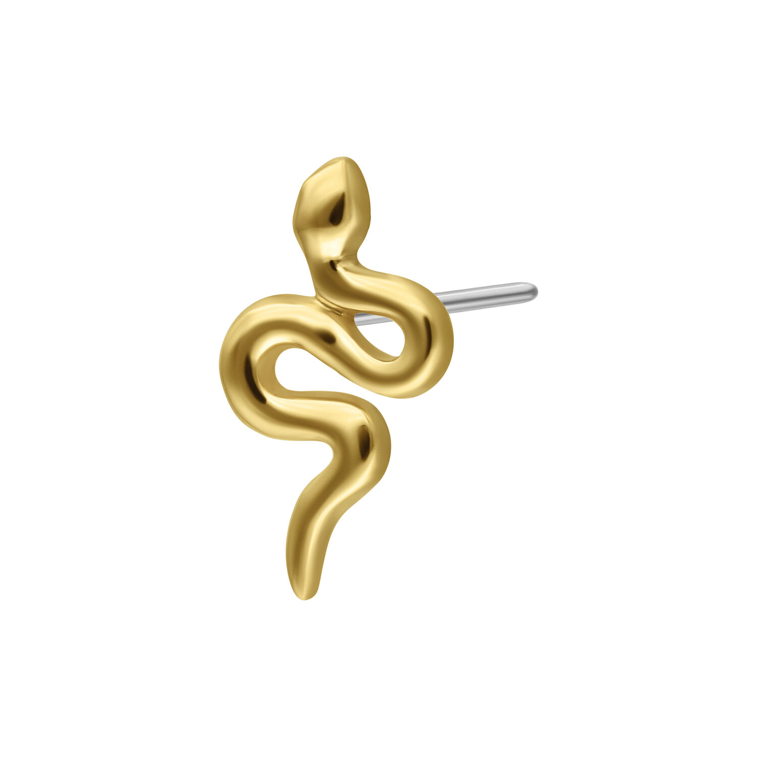 Embout Serpent Push-Fit en Or 14K Embout serpent en or 14K pour piercings Push-Fit sur fond blanc