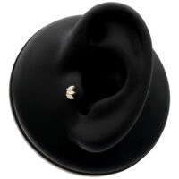 14K Gold Triple Fan embout pour piercing d'oreille Embout Triple Fan doré avec cristaux clairs sur présentoir d'oreille noir