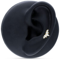Embout de Tiare en Or 14K avec Cristaux Embout de tiare en or avec cristaux clairs sur oreille noire