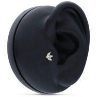 14K Gold Tiara Embout avec Cristaux Petit embout tiara en or 14K, cristallin, sur modèle d'oreille noir
