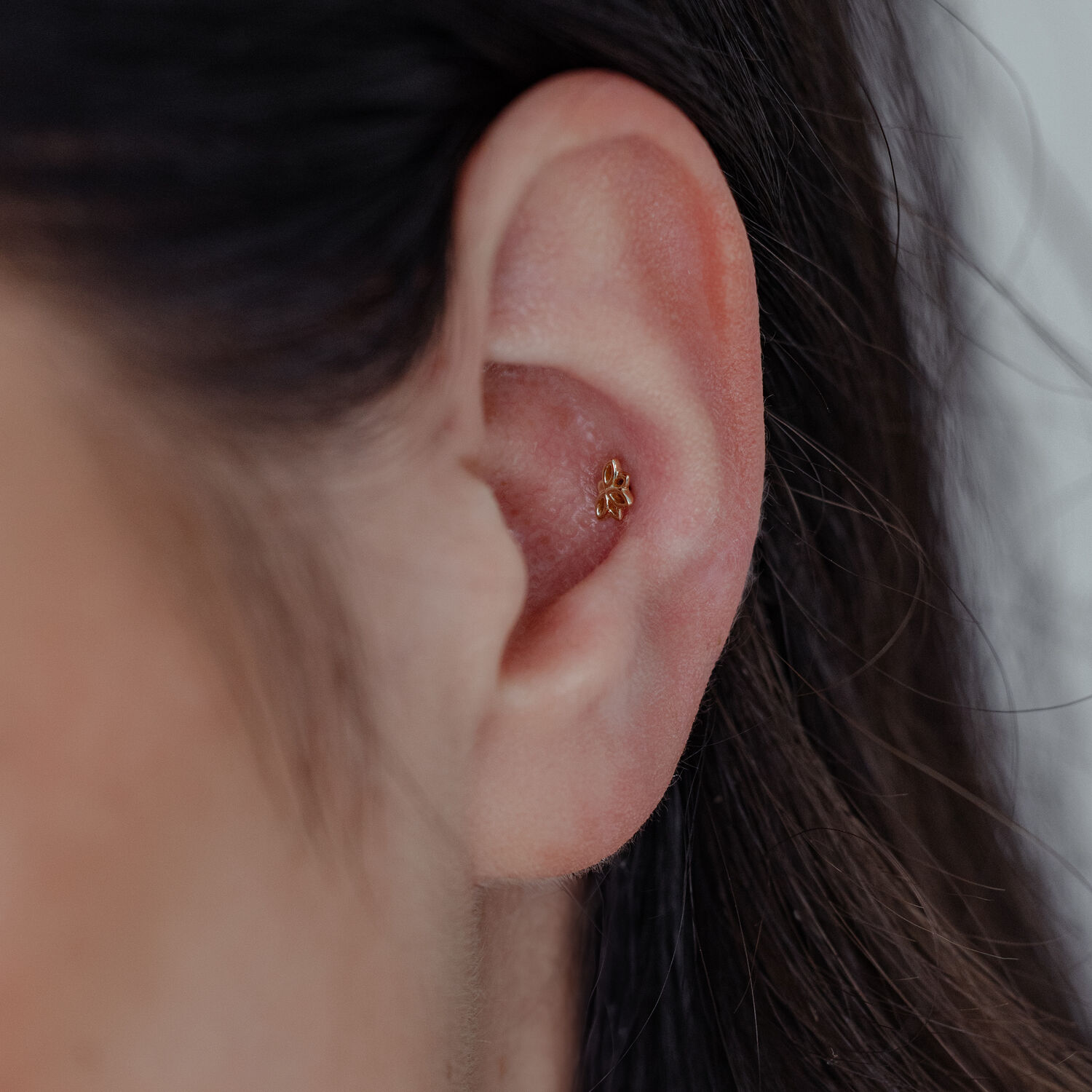 Embout Lotus en or 14K dans l'oreille Embout Lotus en or 14K dans l'oreille sur fond neutre
