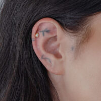 Clous d'oreilles en or 14K avec cristal de Wildcat Oreille avec embout en cristal doré 14K de Wildcat, parfaitement ajusté
