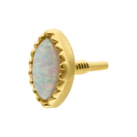14K Or Ovale Opale Embout Embout ovale en opale de 14K or sur fond blanc