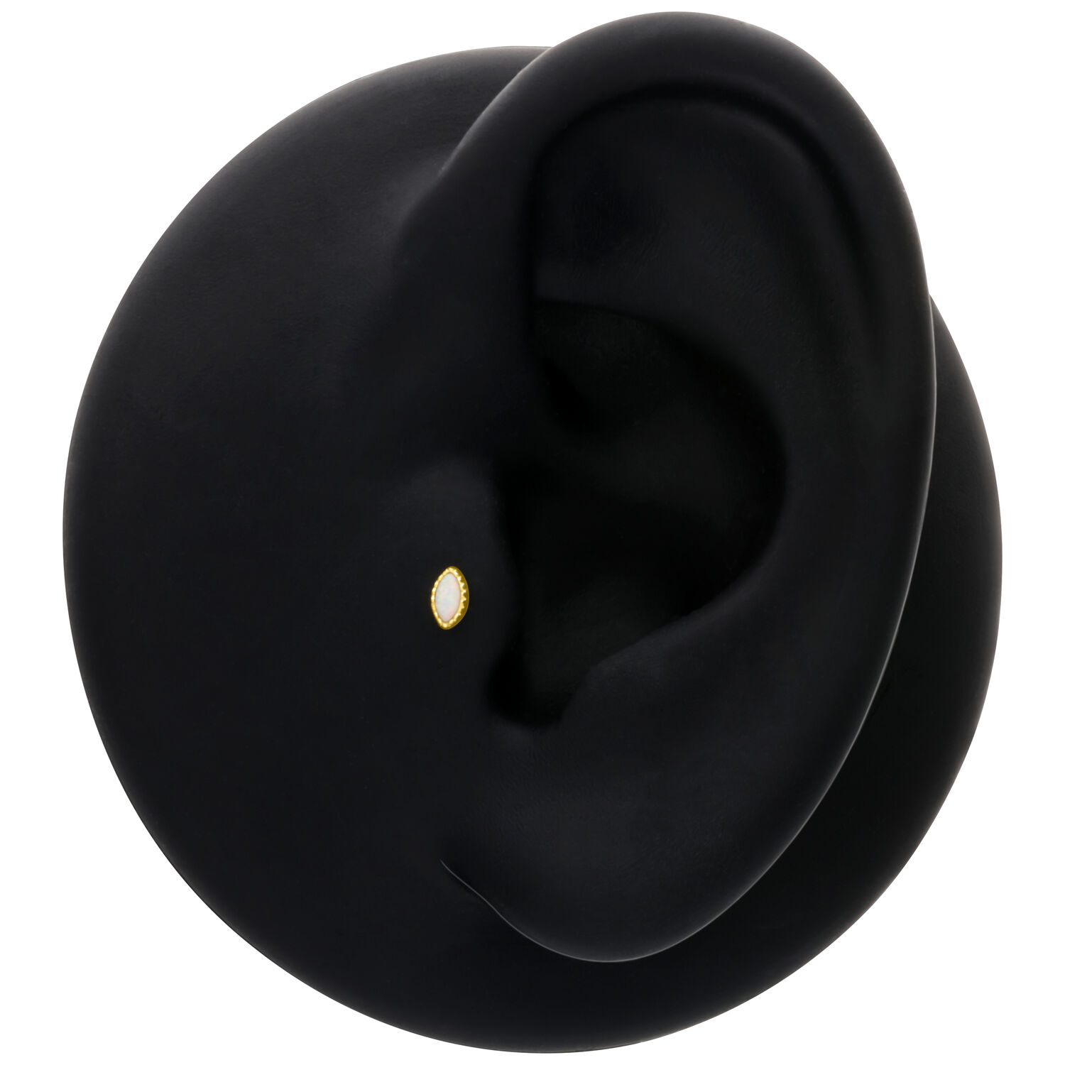 14K Or Ovale Opale Embout pour Oreille Embout ovale en opale dorée sur modèle d'oreille noire