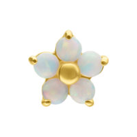 Embout Fleur en Opale en Or 14K pour Piercings Embout doré en forme de fleur avec cinq opales synthétiques sur fond blanc