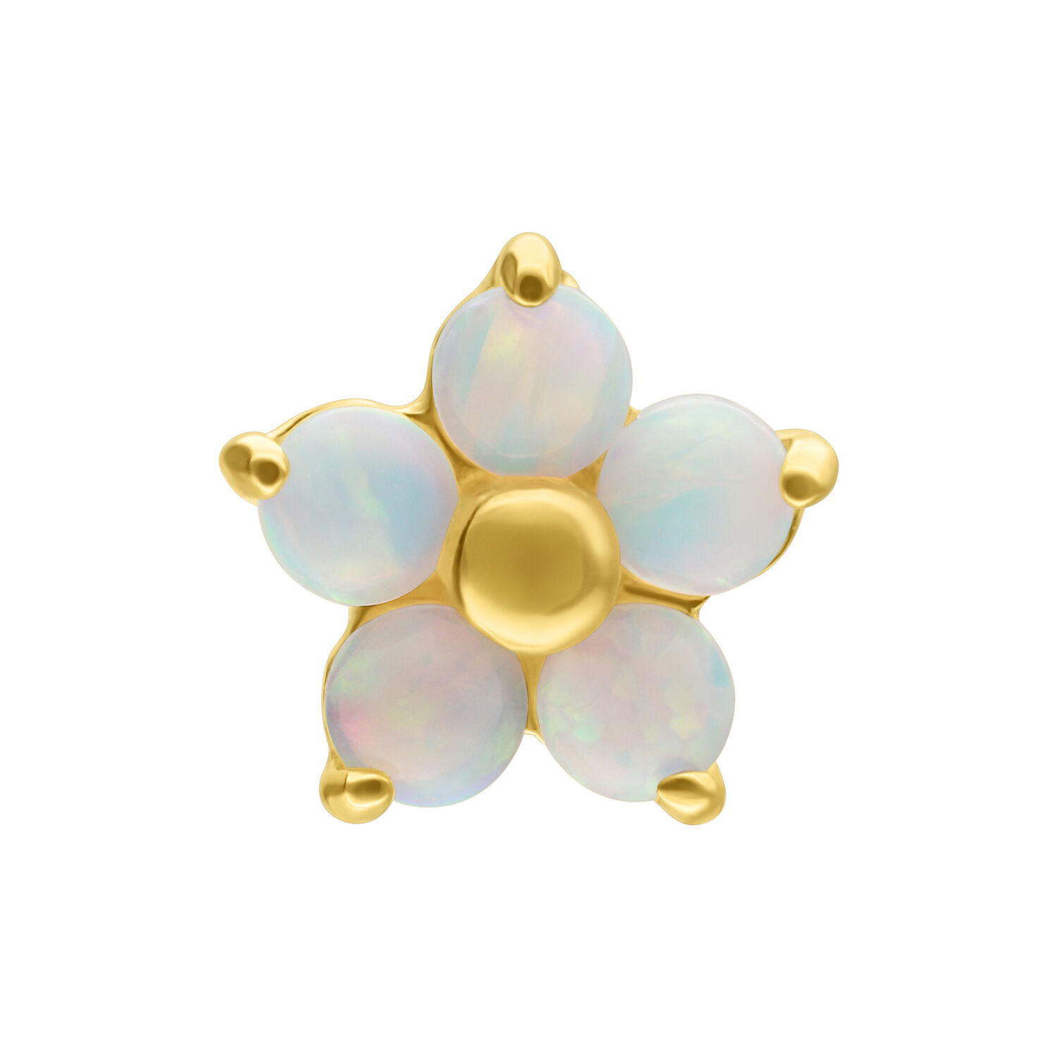 Embout Fleur en Opale en Or 14K pour Piercings Embout doré en forme de fleur avec cinq opales synthétiques sur fond blanc