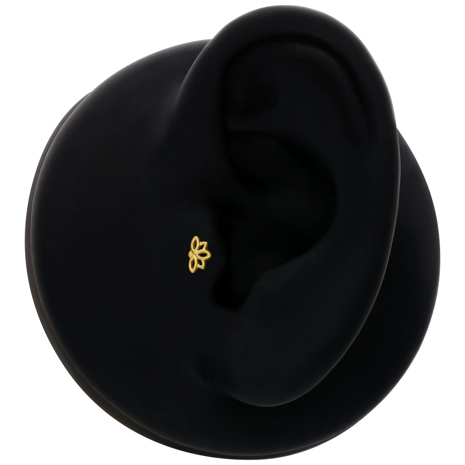 Lotus en or 14K pour piercing d'oreille Petit embout Lotus en or sur modèle d'oreille noire sur fond blanc