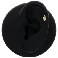 Embout en or 14K Moissanite sur un modèle d'oreille noire