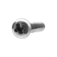 Vis de remplacement 8,0 mm Argent Acier chirurgical Vis de remplacement argentée en acier chirurgical 316L de 8,0 mm de longueur et 2,5 mm d'épaisseur sur fond blanc