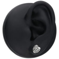 Boucles d'oreilles Monstera en acier inoxydable, argent Boucles d'oreilles Monstera argentées sur fond noir
