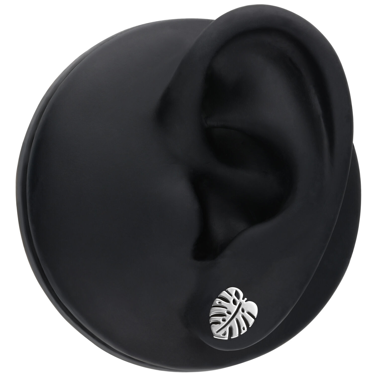 Boucles d'oreilles Monstera en acier inoxydable, argent Boucles d'oreilles Monstera argentées sur fond noir