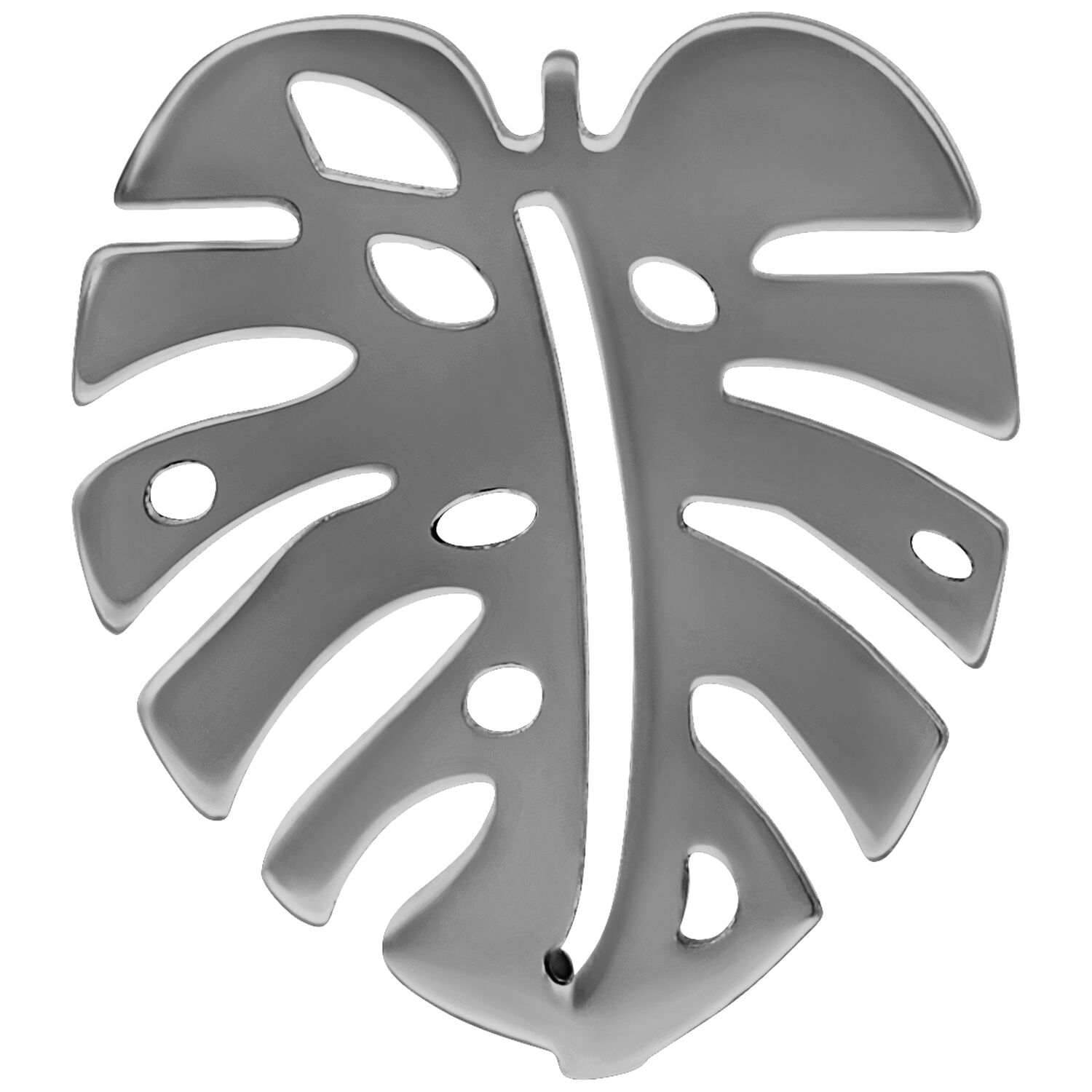 Boucles d'oreilles Monstera argentées en titane Boucle d'oreille Monstera argentée et polie en titane sur fond blanc
