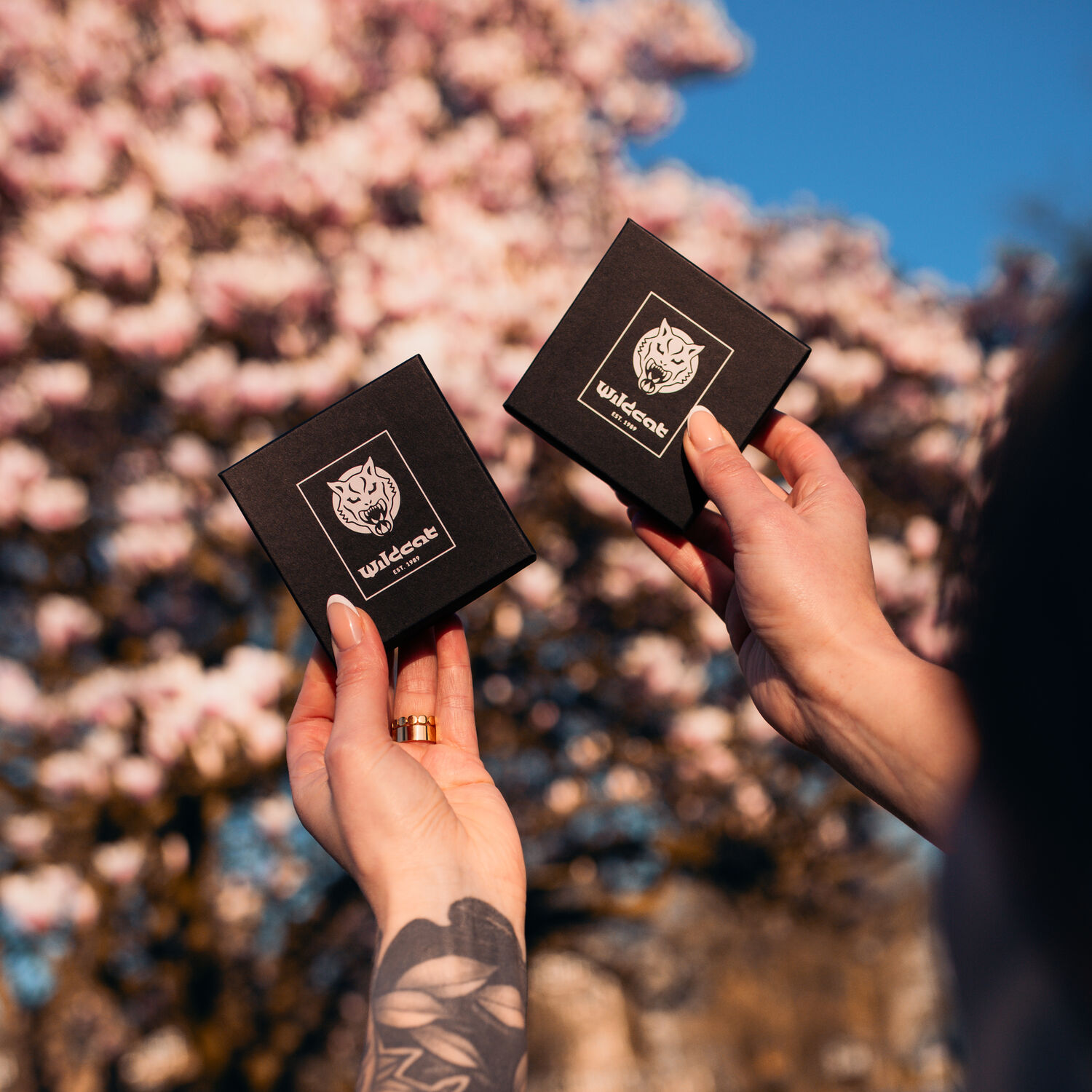 Deux boîtes noires avec logo Wildcat, tenues par des mains, devant un arbre en fleurs en arrière-plan