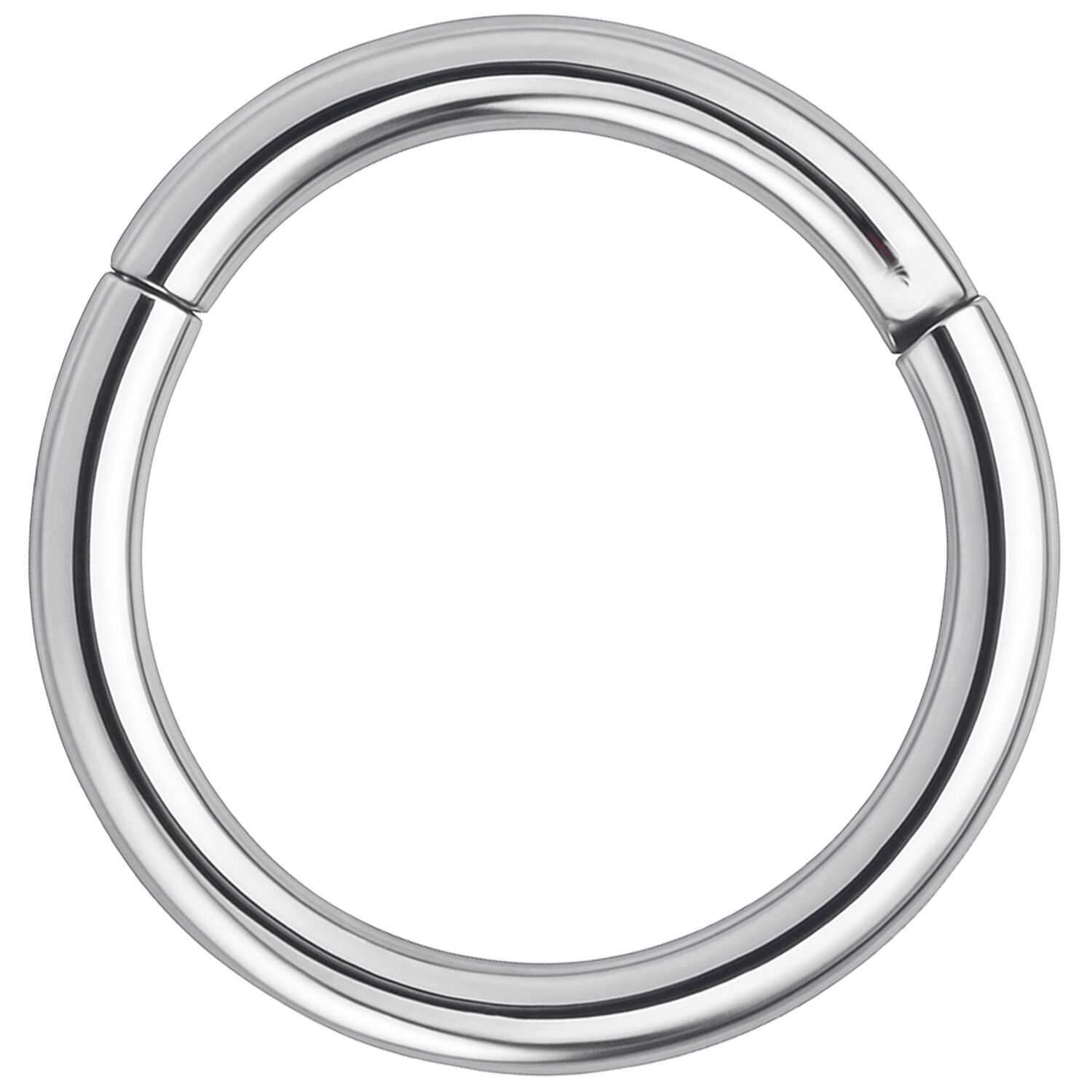 Anneau segment en argent en acier chirurgical Anneau segment en argent en acier chirurgical sur fond blanc
