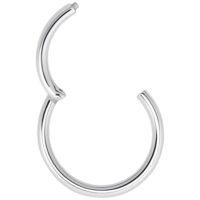 Anneau segment argenté en acier chirurgical Anneau segment articulé argenté en acier chirurgical sur fond blanc
