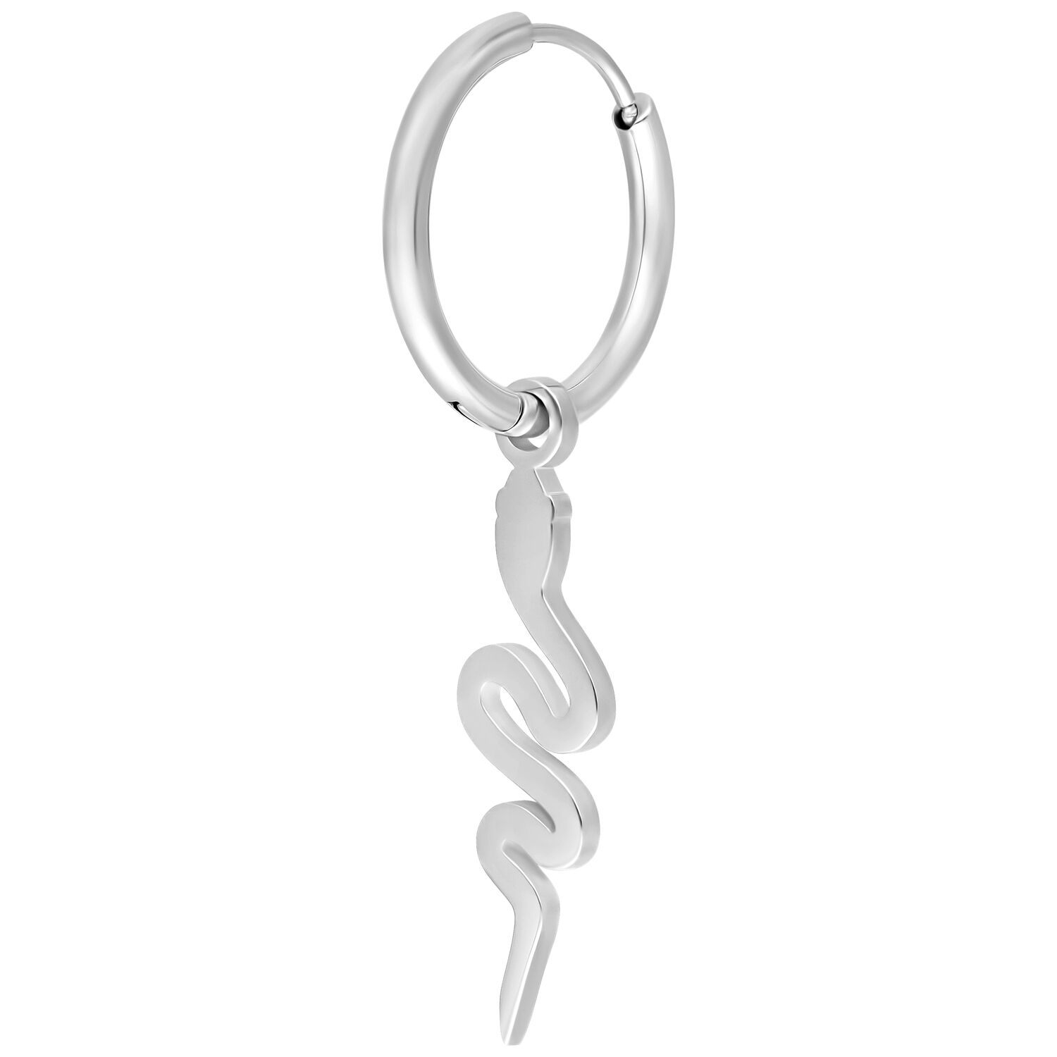 Boucles d'oreilles serpent en acier chirurgical argenté Boucles d'oreilles serpent argentées avec fermoir à clapet sur fond blanc