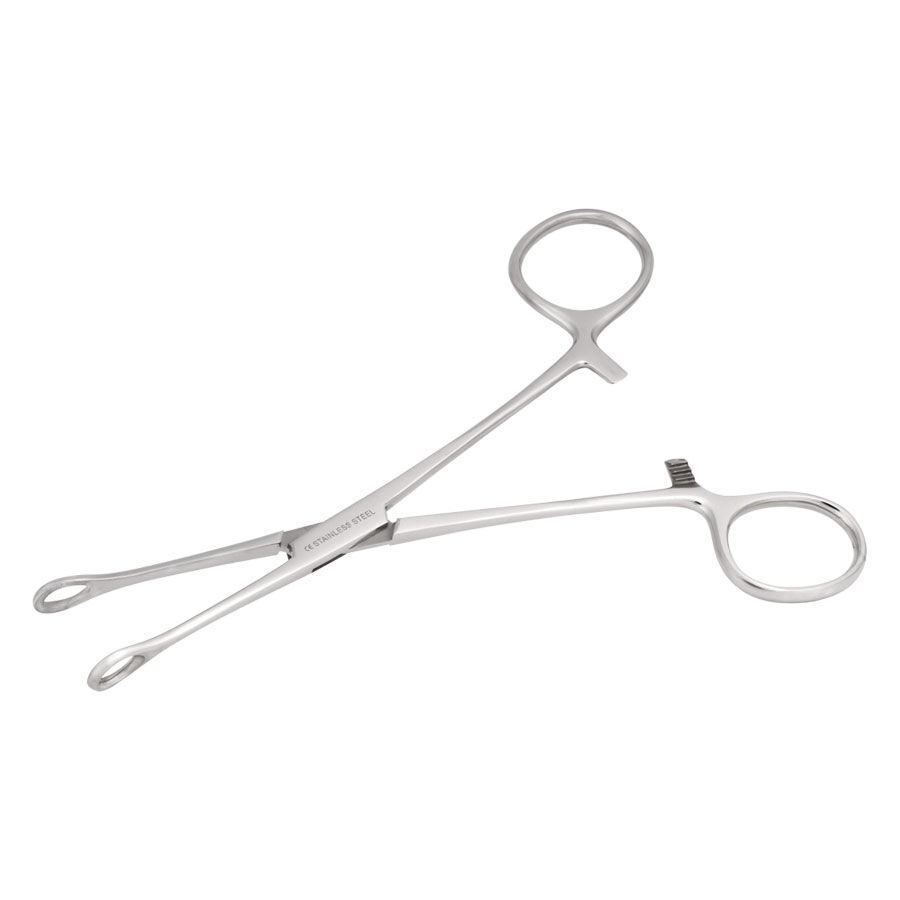 Wildcat® - Micro-éponge en acier inoxydable Pince courbée en acier inoxydable argentée sur fond blanc