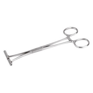 Pince septum argentée en acier inoxydable sur fond blanc