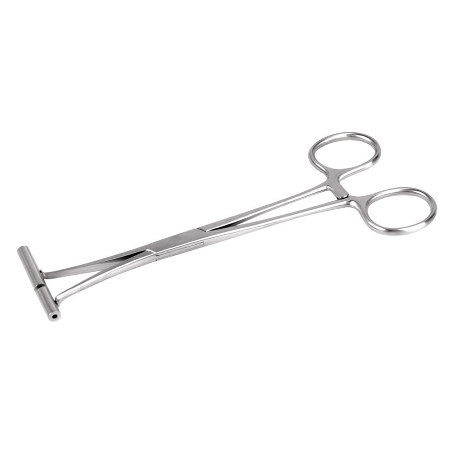 Septum Zange en acier inoxydable de Wildcat Pince septum argentée en acier inoxydable sur fond blanc