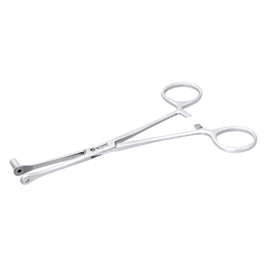 Outil de piercing Septum Close End Outil Septum Close End argenté sur fond blanc