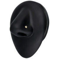 Clou de nez fleur en or 14K avec moissanite Clou de nez en or avec fleur en moissanite sur fond noir